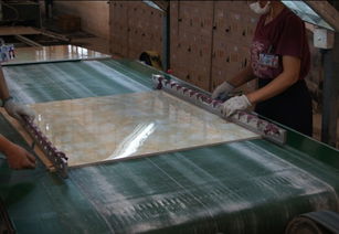 威尔斯陶瓷卓越品质探秘 匠心工艺与创新科技的完美融合